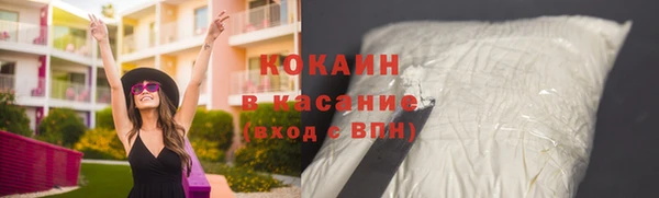 индика Армянск