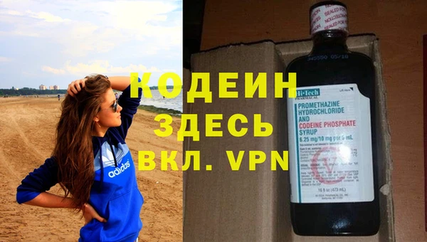 индика Армянск