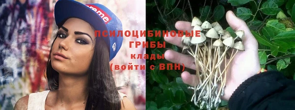 мескалин Арсеньев