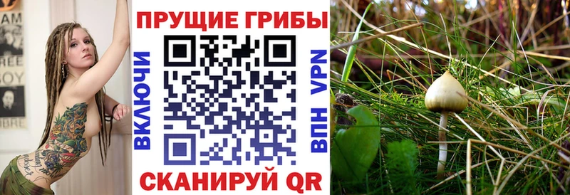 Псилоцибиновые грибы мицелий  Среднеуральск 